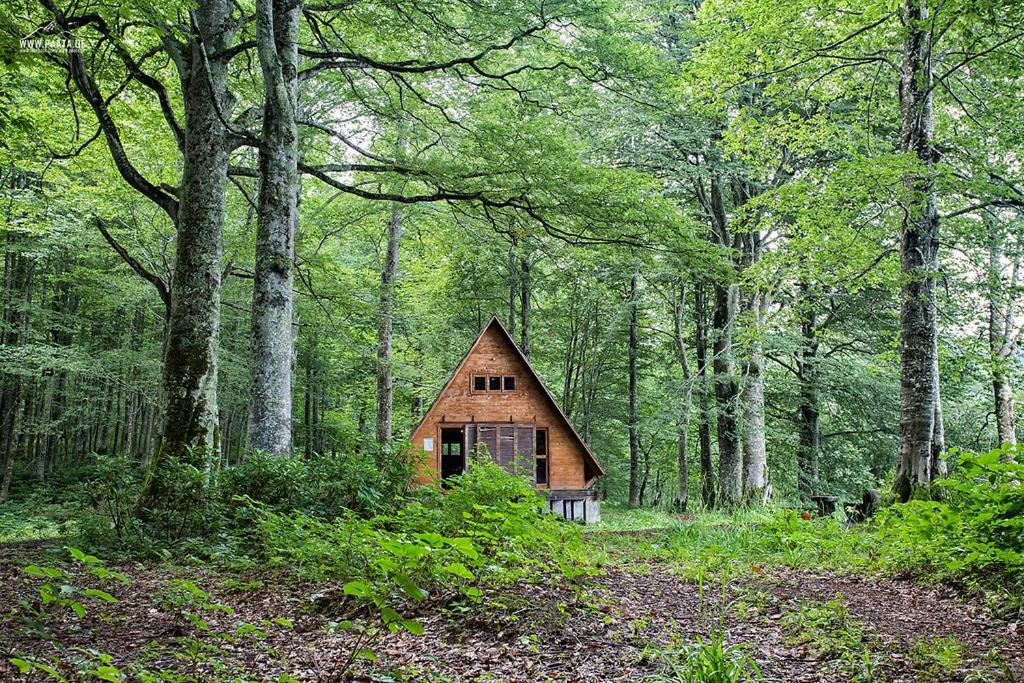 Wonderland Hotell Chakvi Exteriör bild